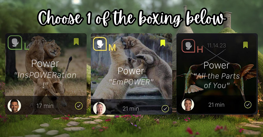 Day 3 Boxing Options