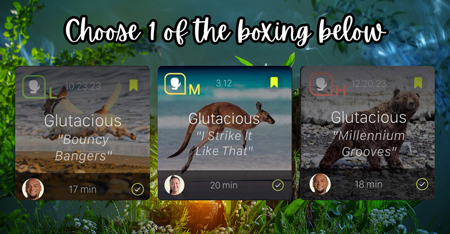 Day 4 Boxing Options